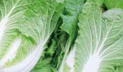 炖豆腐汤放什么配菜 0c3bb537fbe54862bbe1fe2da123783c.jpeg