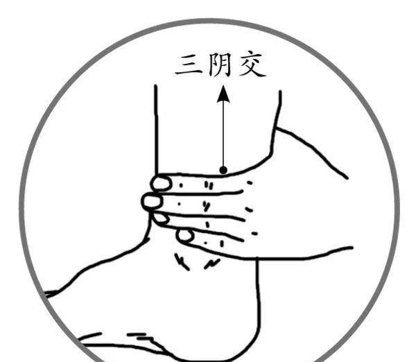 1a5a4d904ead46229cb852003566de64.jpeg
