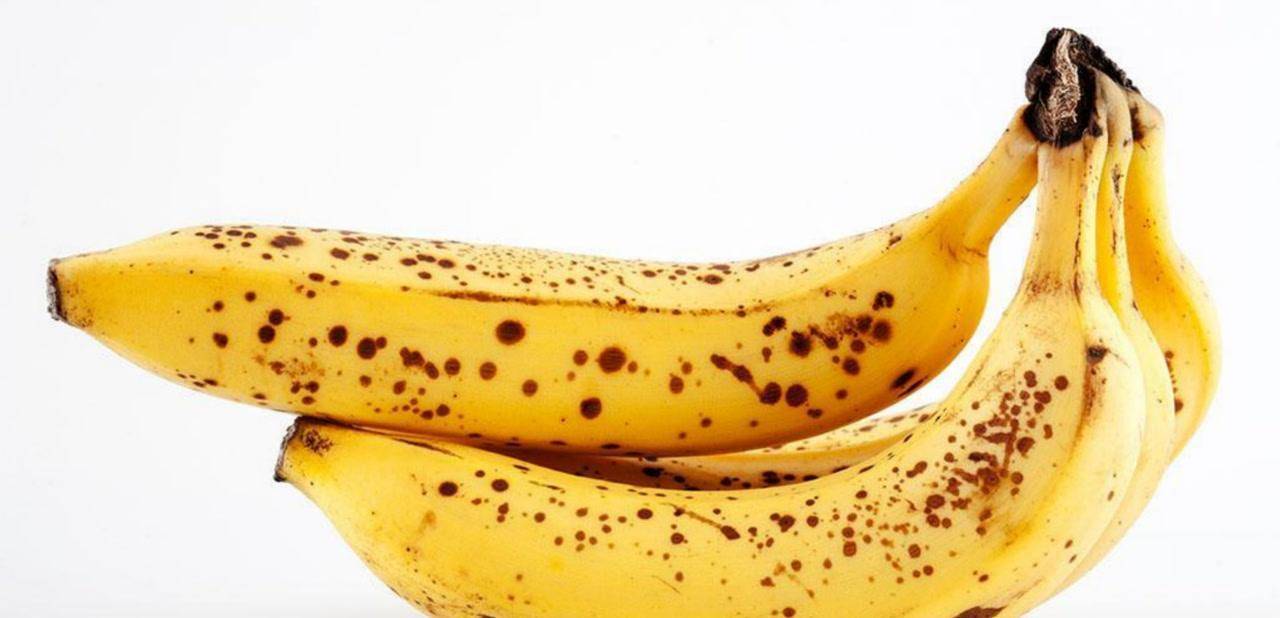 香蕉的利润是多少合适 香蕉一斤能有多少利润