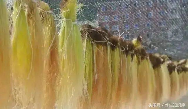 治疗|控制血糖，远离并发症，坚持''三多二少''！