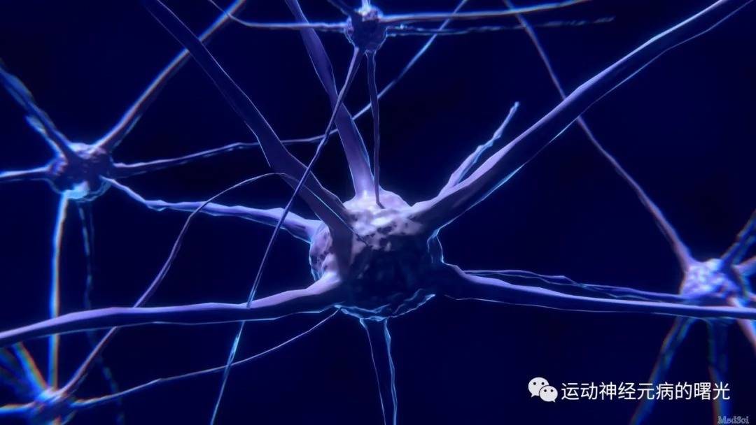 癥狀|運動神經元患者康復案例5