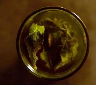 金麦须|生活中，如何稳控血糖？