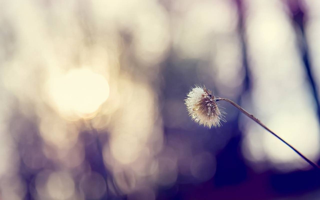 怎么让自己更爱生活 004b073a2a074275a8a4df4ac2d97e30.jpeg