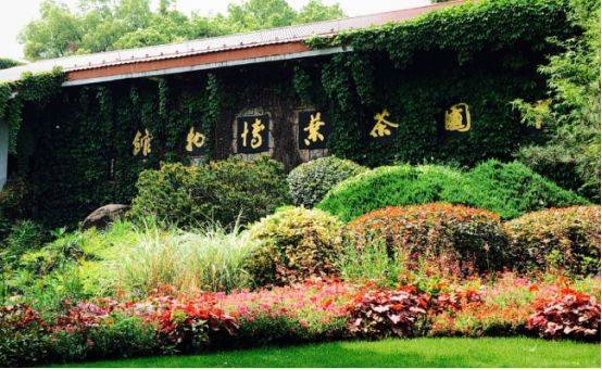 杭州茶叶博物馆，美过京都名古屋，没去过都不算来过杭州