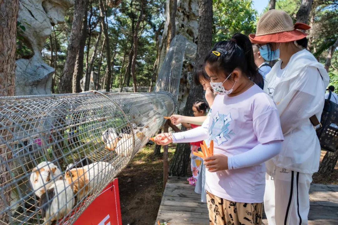 如山|必须收藏！秋日不容错过的自驾线路，包揽湖光山色、休闲野趣，看完就想出发！