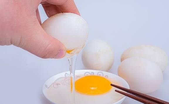 18种对狗狗有害的食物 狗主千万不要给狗狗碰到 情况 新闻时间