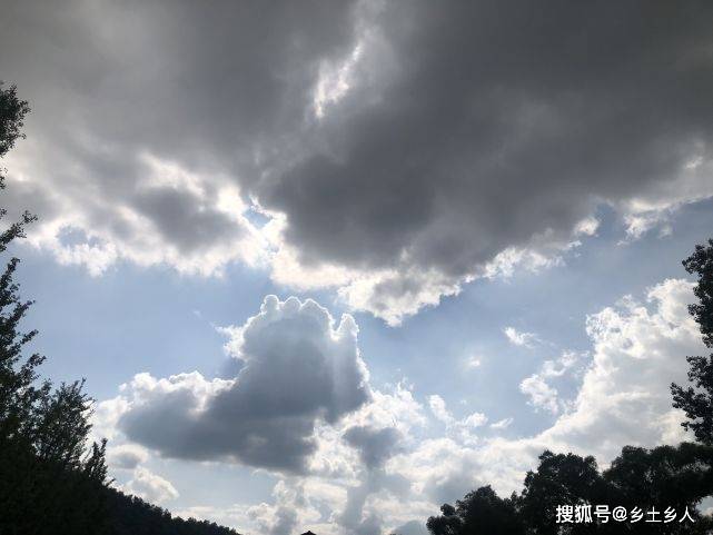 4119c23225574a46a22568dd35c7c687.jpeg