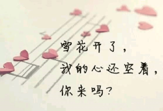 d06d5d590d6d490fa7caf05205c2d0b0.png