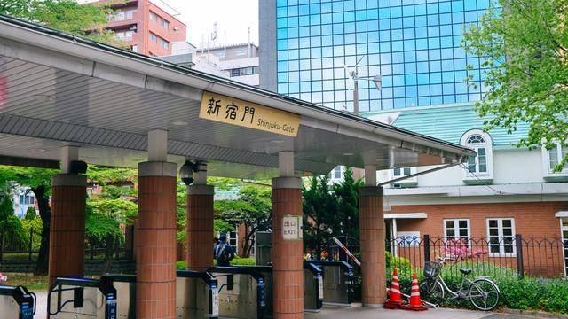 新宿御苑 繁华闹市里美得不可思议的公园 东京 言叶之 时候