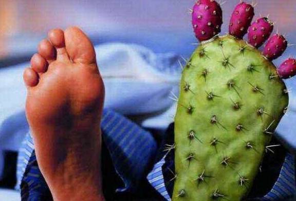 内脏|痛风病人容易得肾结石?3种高嘌呤食物,哪怕再喜欢也劝你少吃