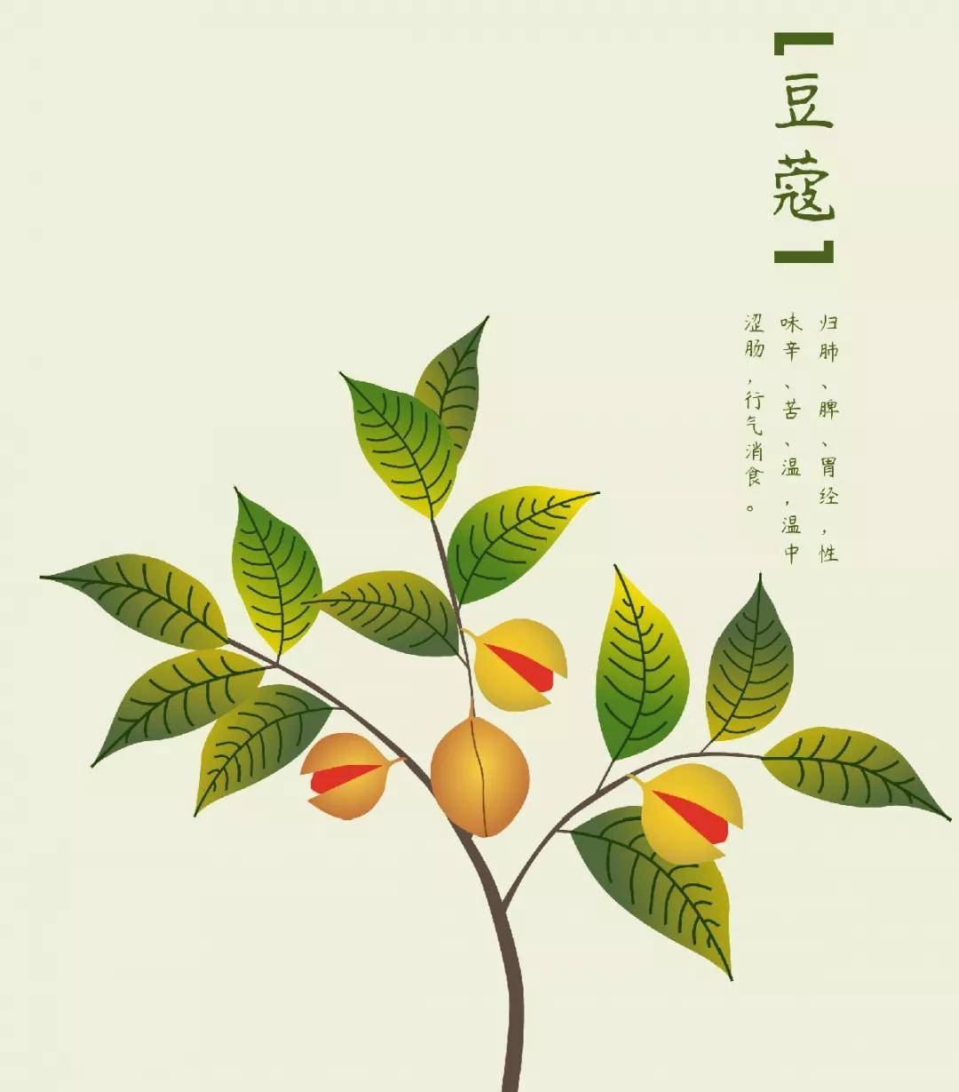 原料白豆蔻2克砂仁2克荷叶1/2张做法将荷叶洗净切碎与洗净的白