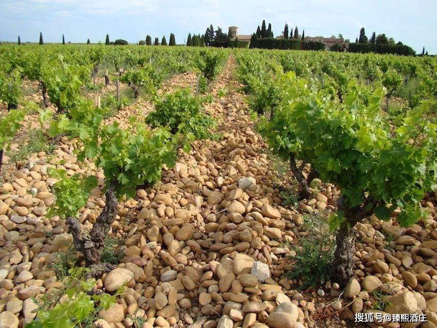 Pape|法国教皇新堡红酒,到底为啥这么贵?不看不知道~