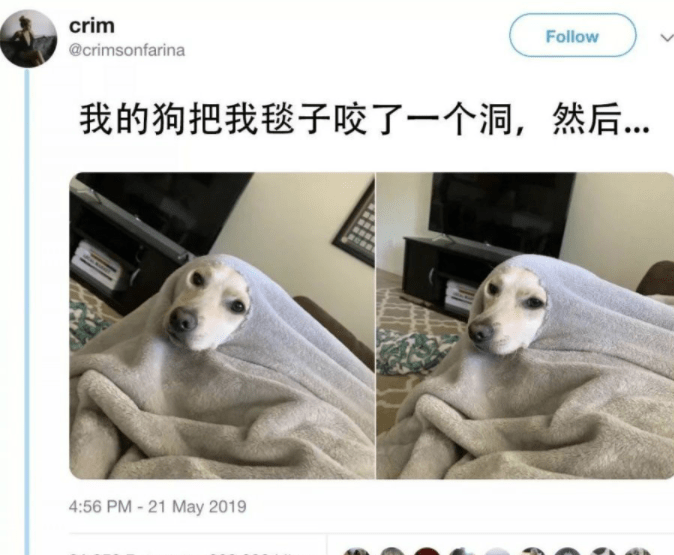 爆笑GIF：卡住姐姐的不是胖，而是你的好身材 搞笑整蠱 第6张