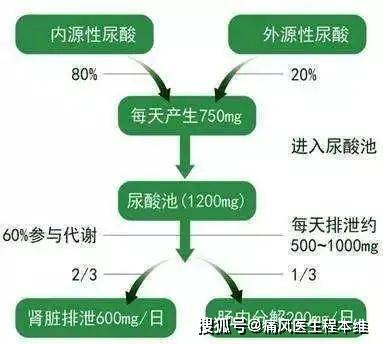 治疗|苯溴马隆：尿酸偏高看我的