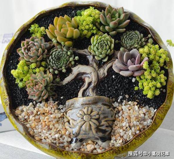 04382f6686b24ea38fd74427dfeb71f8.jpeg