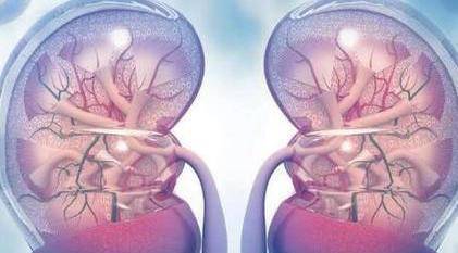 肾脏|你清楚“肾脏疾病”吗？血肌酐，是否检测肾脏健康程度的指标