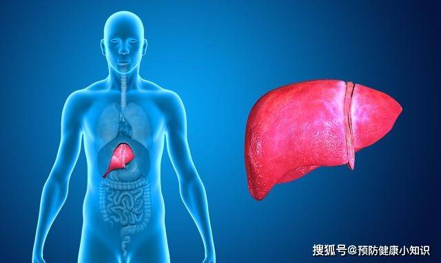 治疗|乙肝携带者有可能发展成肝癌吗?遵循以下原则,或有希望治愈