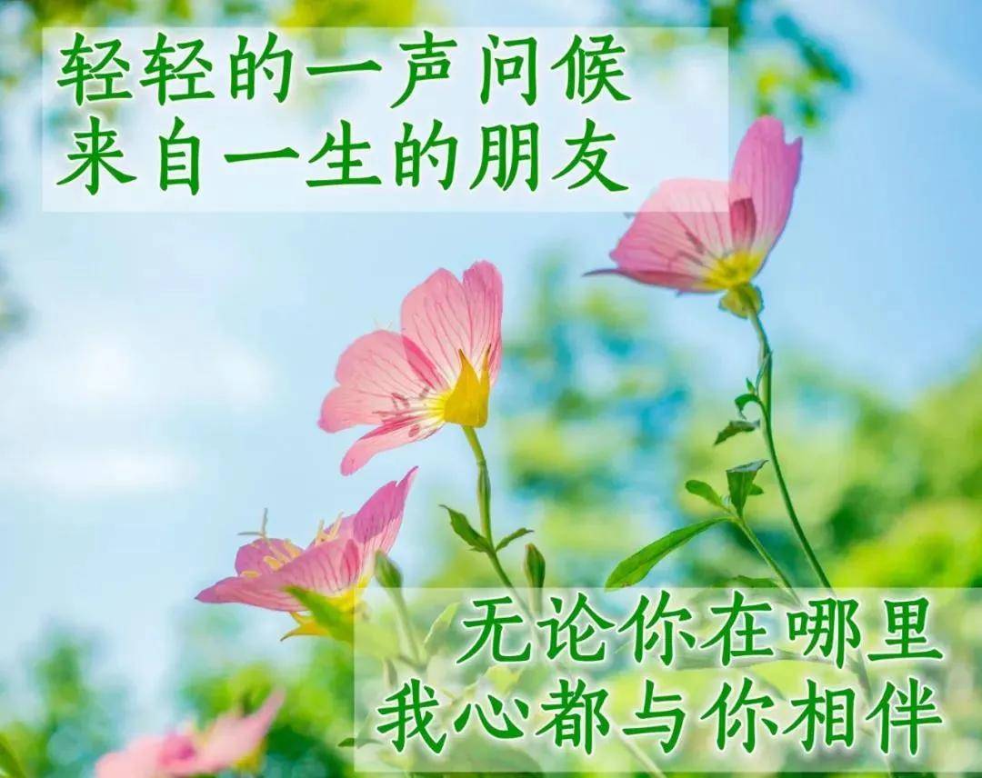 8张创意好看的秋日清晨早上好图片带字带祝福语 聊天不用打字的图片带