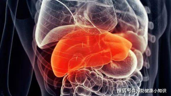 治疗|乙肝携带者有可能发展成肝癌吗?遵循以下原则,或有希望治愈