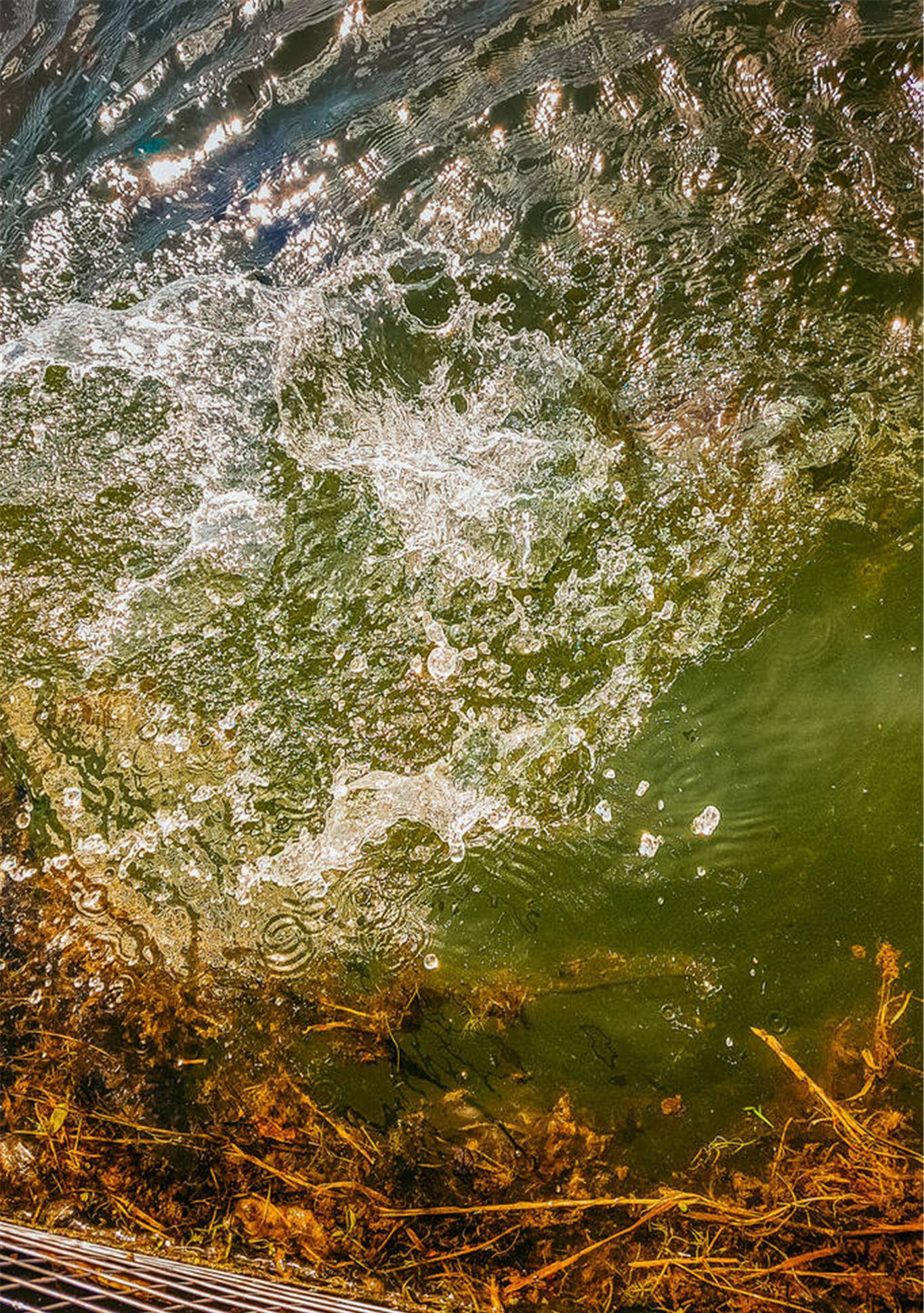 原创「水色钓鱼技巧」如何看懂水体颜色提高中鱼率