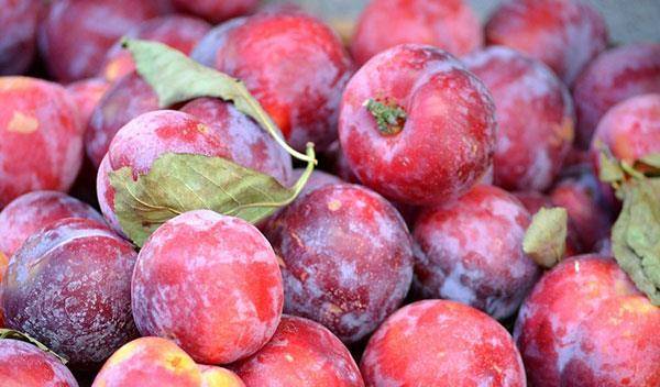 糖尿病不宜吃的6种水果吃了会怎样 a97af538149c423b97bb6d848c20ffe6.jpeg