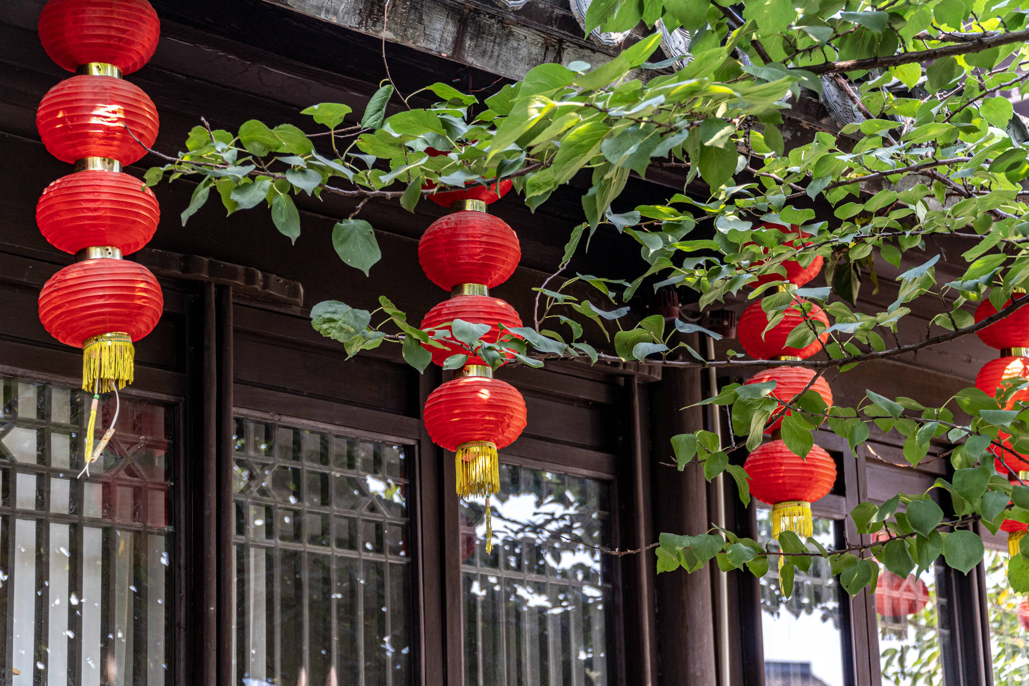 街区|玩转吴兴特色老街，吃百年老店，逛状元故居