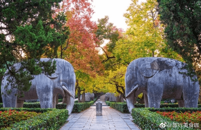 微博 秋天是一个美好的季节