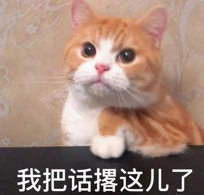 猫咪吃猫草，不是为了排出毛球？原来真相是这样的！_调查- 新闻时间