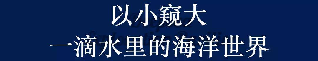 深藏BLUE！同济大学深海探索馆真的火了！