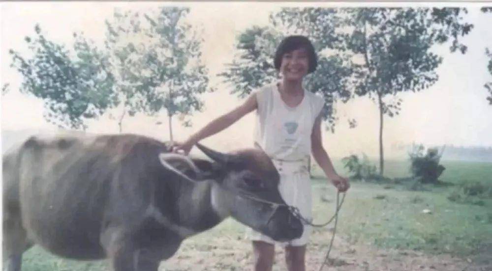 什么|看了张小斐扫墓，才明白我们会遇到很多个袁姗姗，却难逢一个贾玲