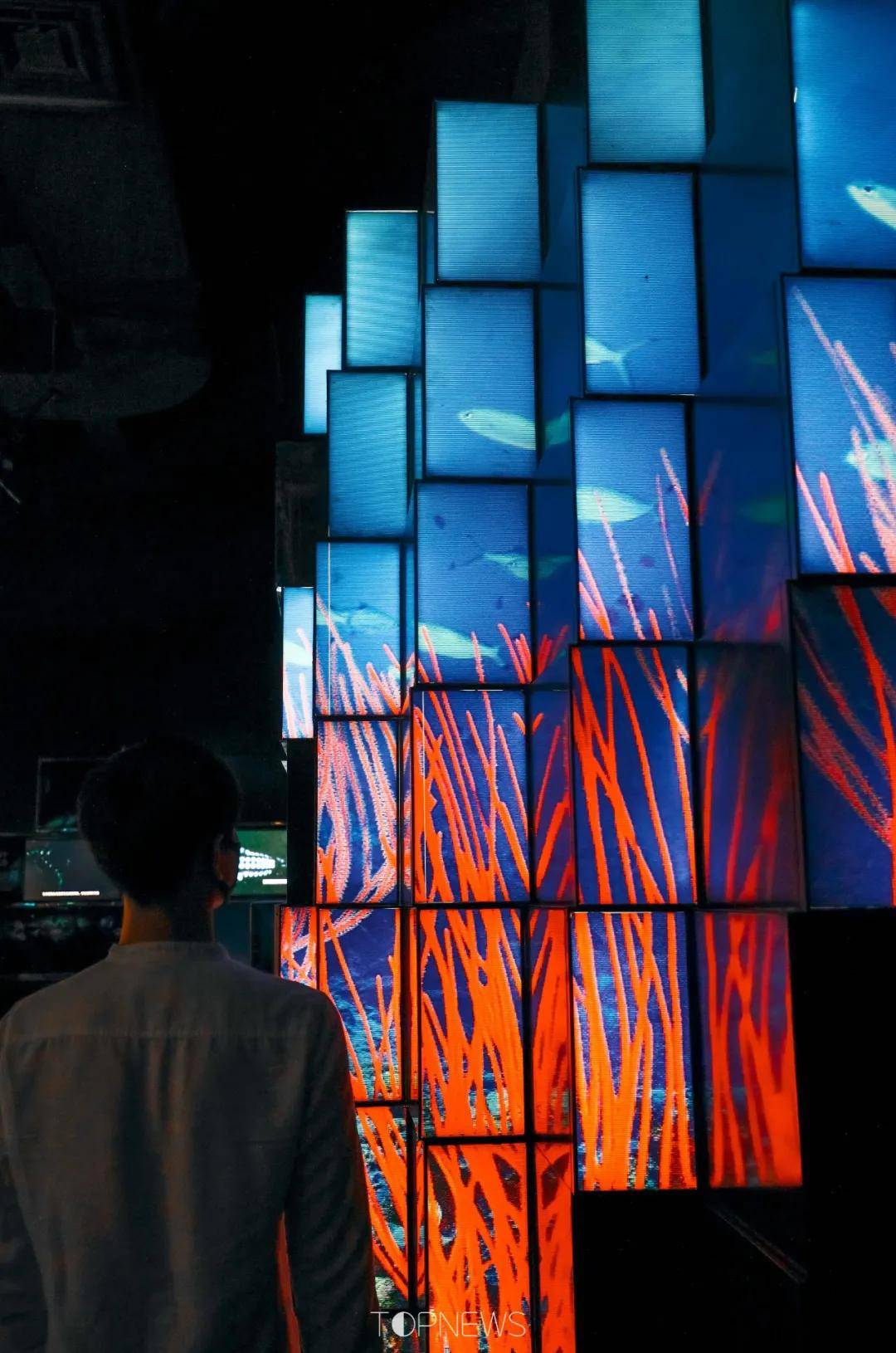 深藏BLUE！同济大学深海探索馆真的火了！