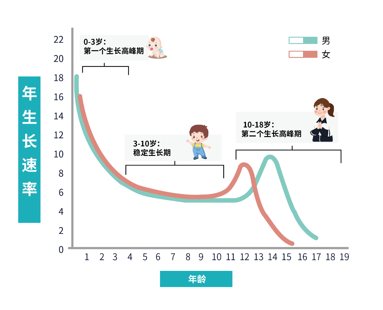 关于孩子晚长这篇文章可能会颠覆你的期望