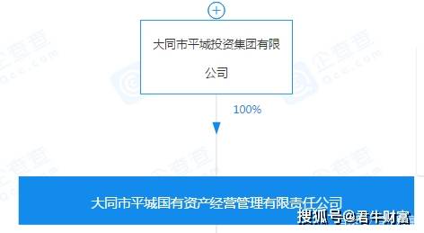 会授权成立的国有独资公司,由大同市平城投资集团有限公司100%控股