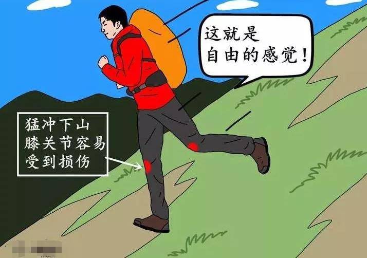 髋关节|重阳一起爬山吗？不是1秒下山的那种