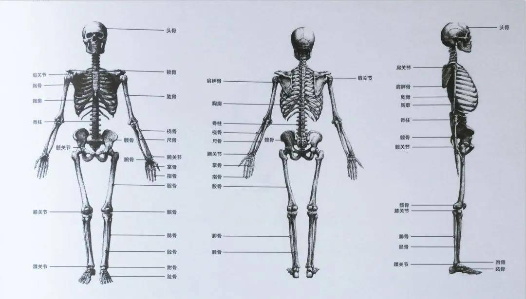 网络追求过度的审美畸形，把腿p再长也有破绽