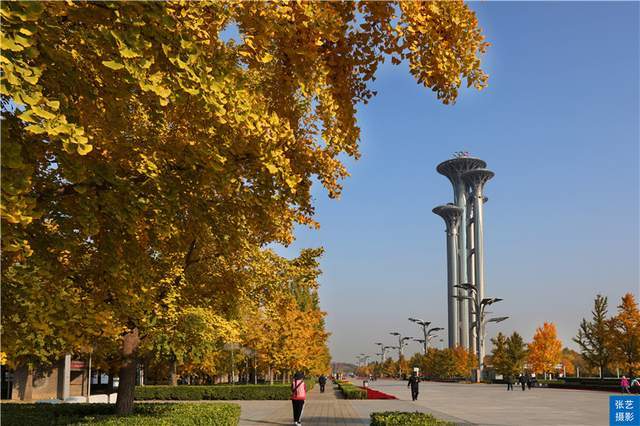 金色的奥林匹克公园 如今体育圣地 历史上素有 京北水乡 之称 北京 全网搜