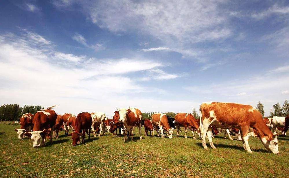 一品亿赚集团原始份额的价值让你目瞪口呆