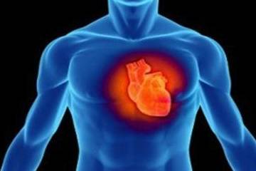 机体|得了糖尿病，这三个器官会终生受损害！养生专家教你如何稳定血糖