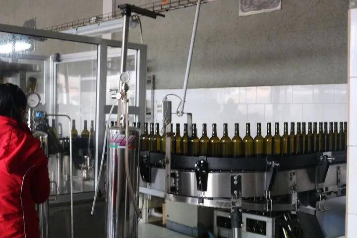 植物|欧洲小国摩尔多瓦,除了葡萄酒,还有野马郁兰精油