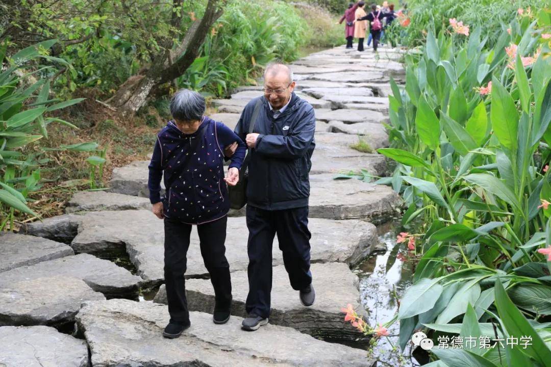 桃花源|常德市六中组织离退休教职工开展重阳节秋游活动