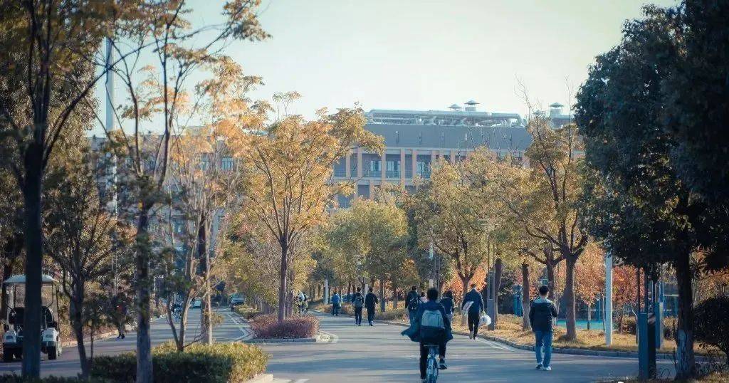 中国大学|独家发布！2021软科中国大学排名系列：学科精度排名