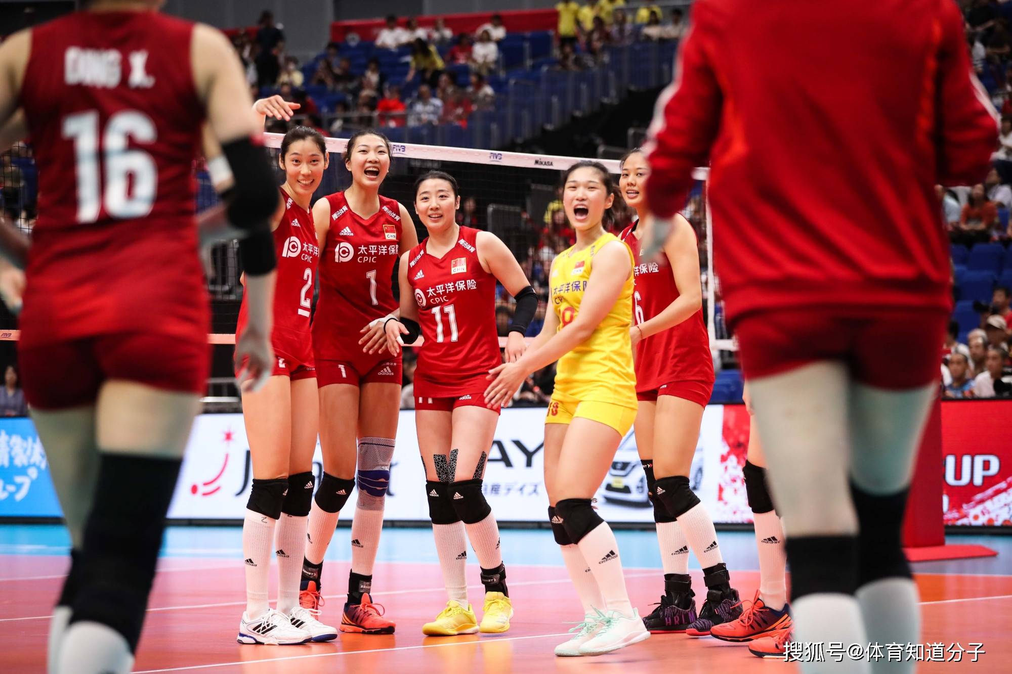 世界女排联赛中国女排名单更新 6f76201ab25c49f7981390f771667a5d.jpeg