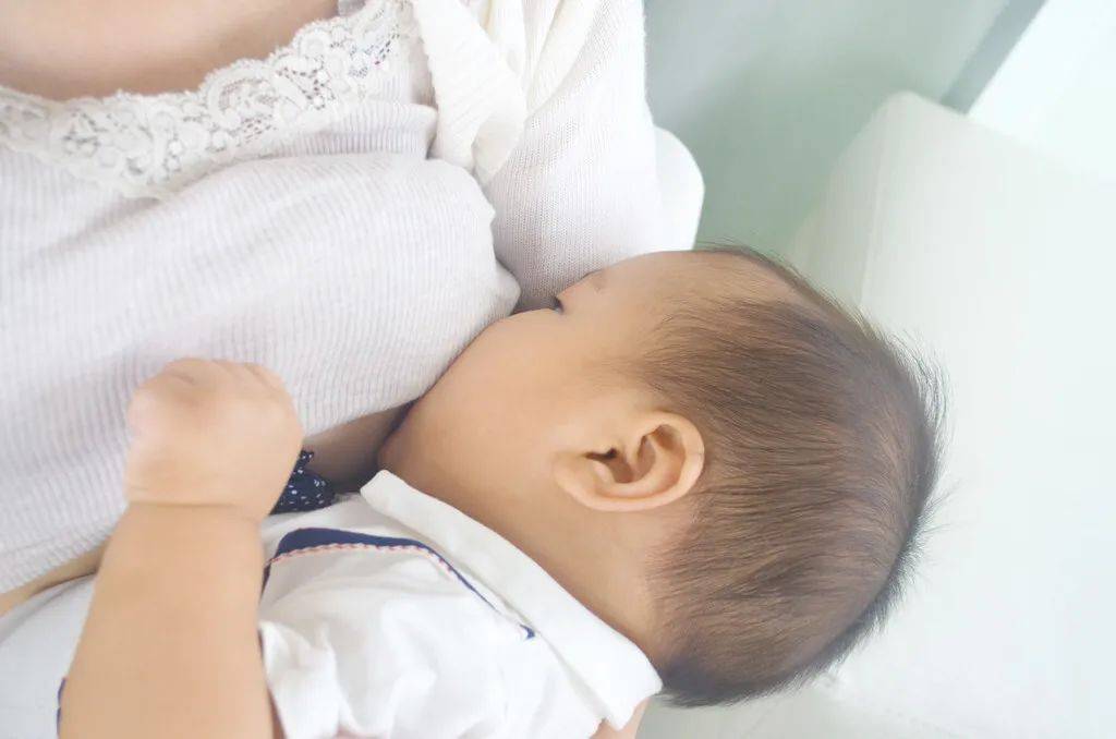 吃什么产母乳多 a10108ee44e24f28b10ea72f0402f41c.jpeg