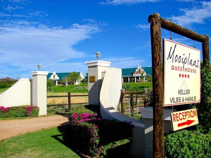 果香|【中喜酒业】国际比诺塔吉日：小众葡萄品种，却是扬名南非的国宝级葡萄！