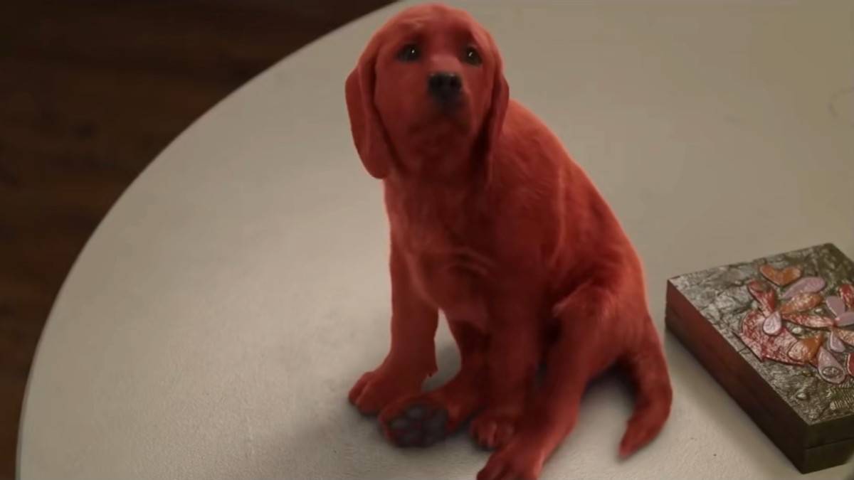 艾米丽|派拉蒙又一新片来了！大红狗高达3米似大楼，卖萌眼神惹人心疼