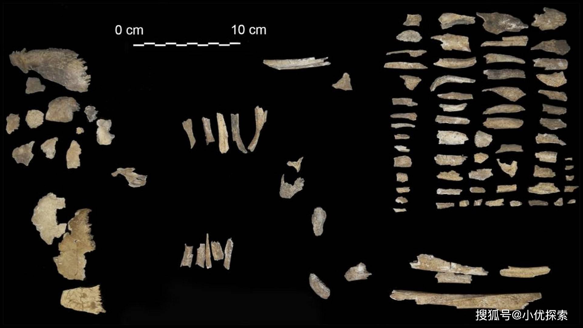 研究人员发现内斯特杯墓中烧毁的骨头碎片至少属于三个成年人