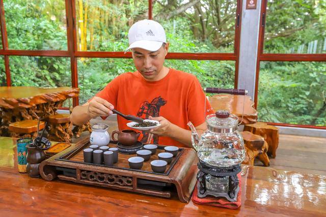 地方|雁南飞茶田，梅州5A级景区，体验茶文化的好地方