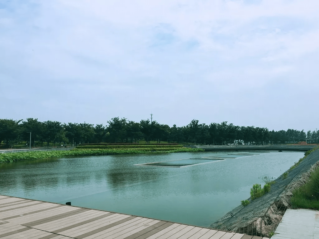 小曹娥划入前湾新区图片