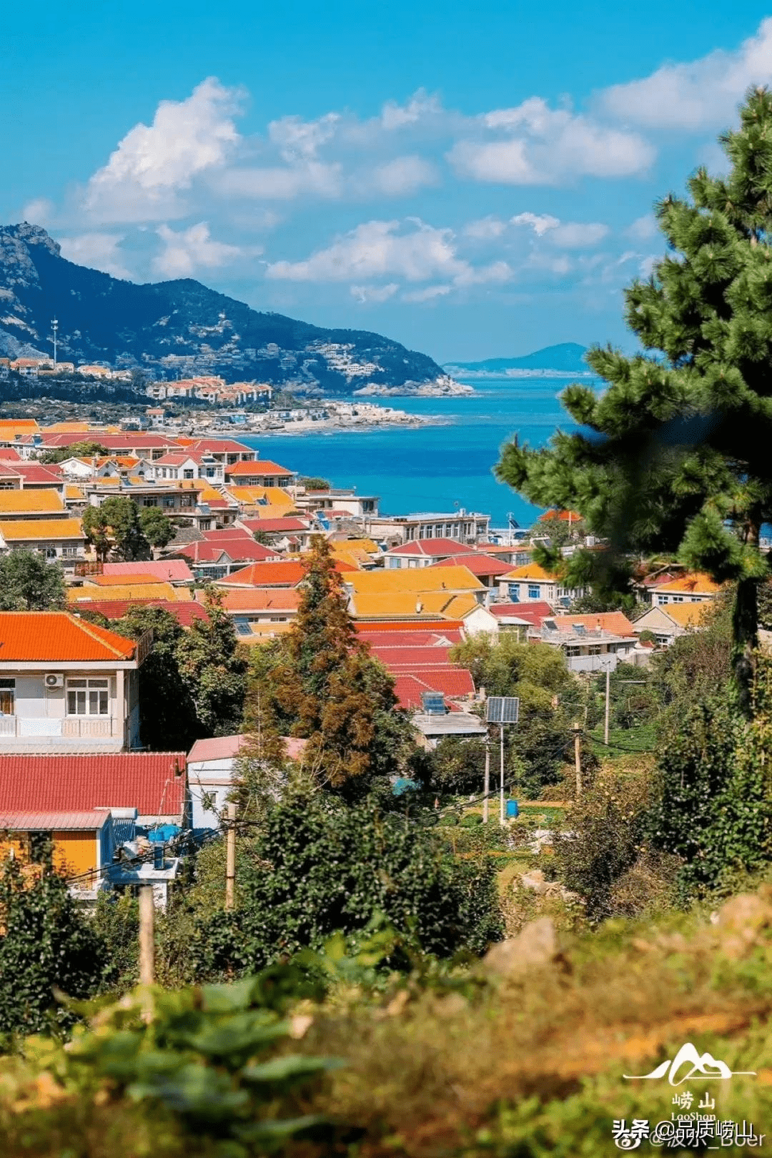 崂山私藏600多年的青山村,又美出圈啦