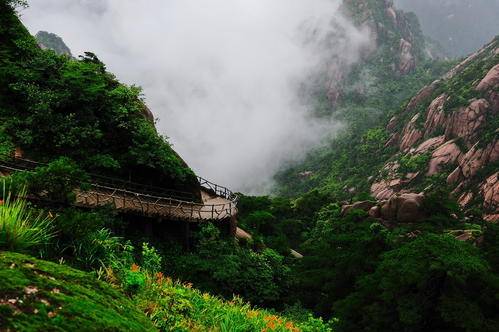 家族|为什么人会患上渐冻症 ？